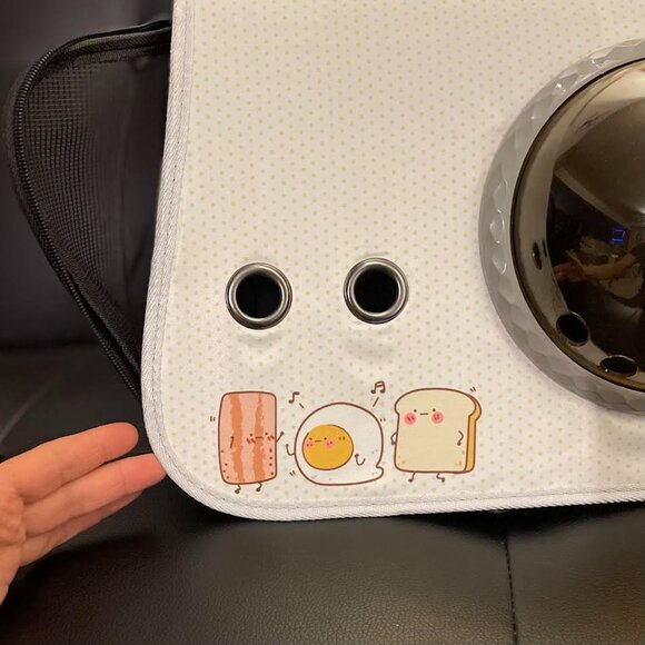 Stylish and Comfy, Portable Cat Carrier with Window!  NWT - Picture 2 of 7